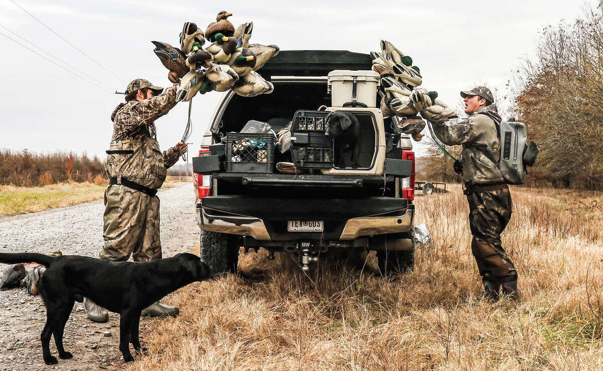 Duck hunting cheap dog training